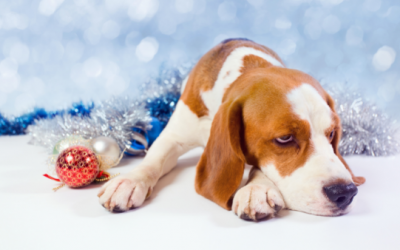 When Christmas is Hard